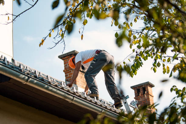 Best Solar Panel Roofing Installation  in West Falls Church, VA